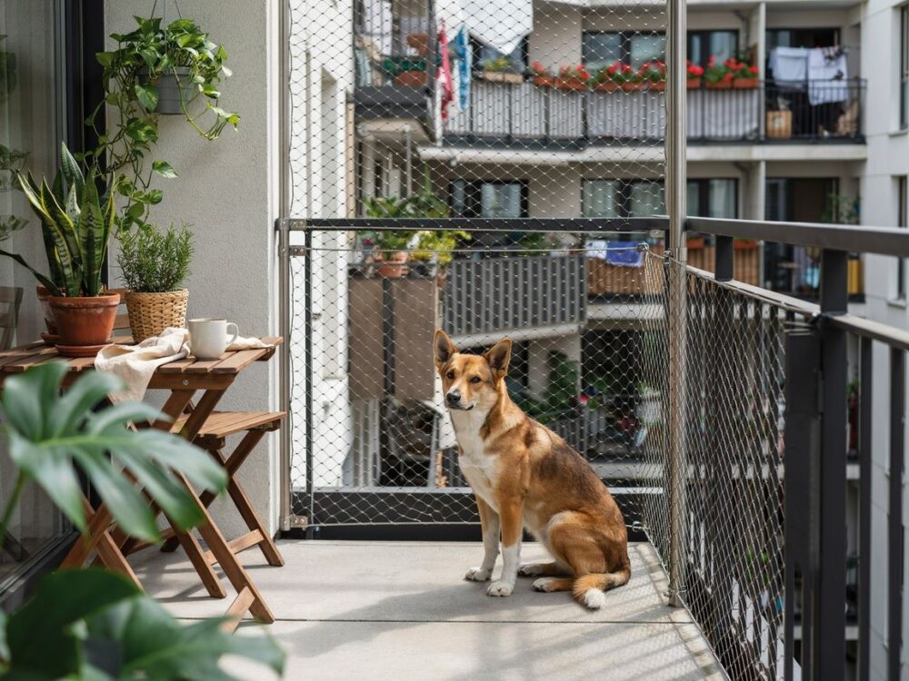 siatka ochronna na balkon